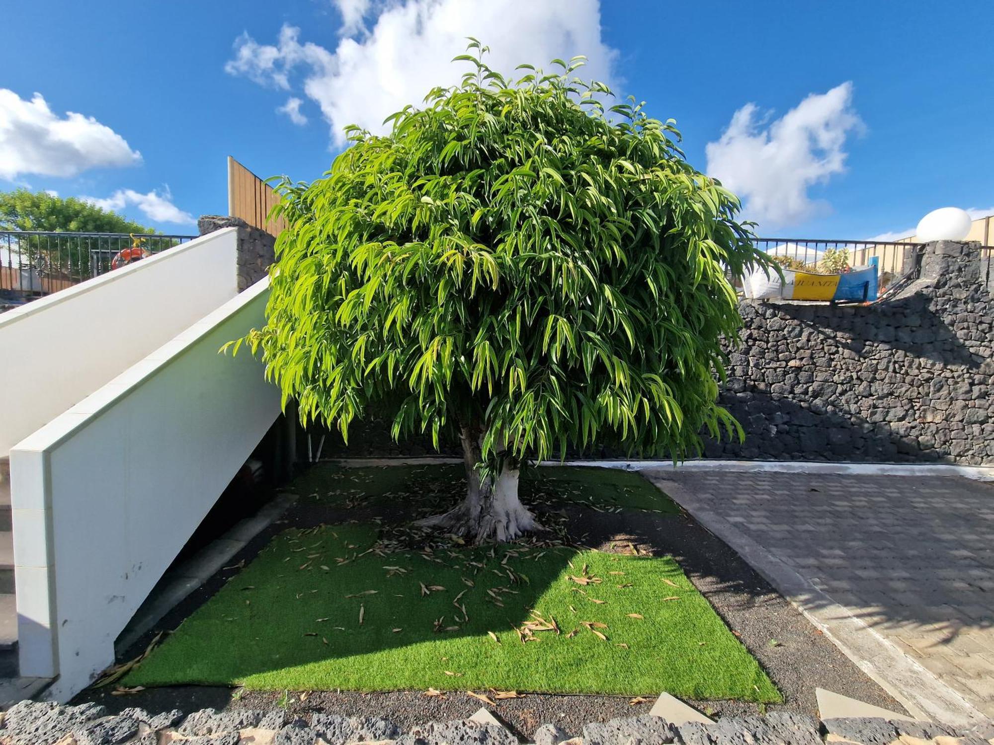 Villa Juanita, Puerto Del Carmen, Lanzarote Tías Zewnętrze zdjęcie